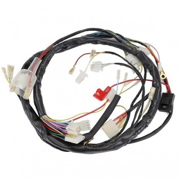 Intalacion electrica Derbi Senda 50cc 2006-2010, Gilera SMT-RCR 2006-2010