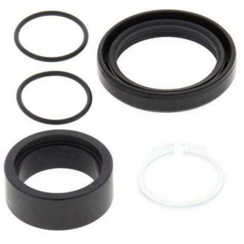 Kit reparacion piñon salida Kawasaki KX250F 2006-2013