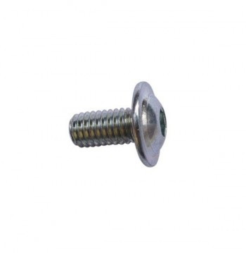 Tornillo DIN 7380+Arandela M-06 X 012 ZN