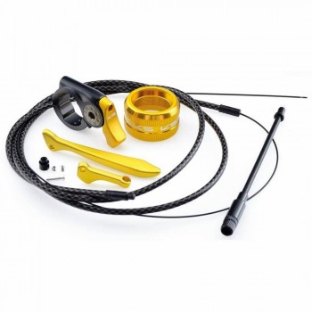 Kit Oro I950R/I900R/I955R +cable